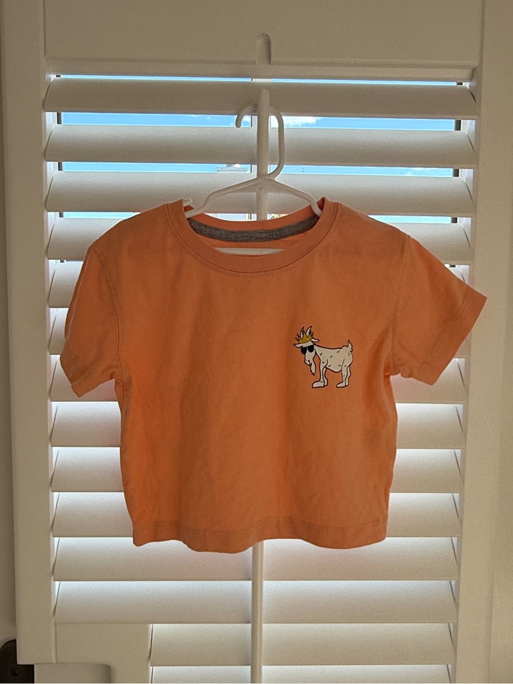 Kids Short-Sleeve Peach Tee with Fun Goat Patch